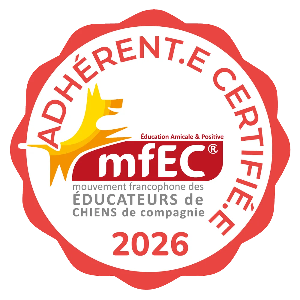 Résoudre les troubles de comportement canin et félin avec bienveillance grâce au mouvement MFEC