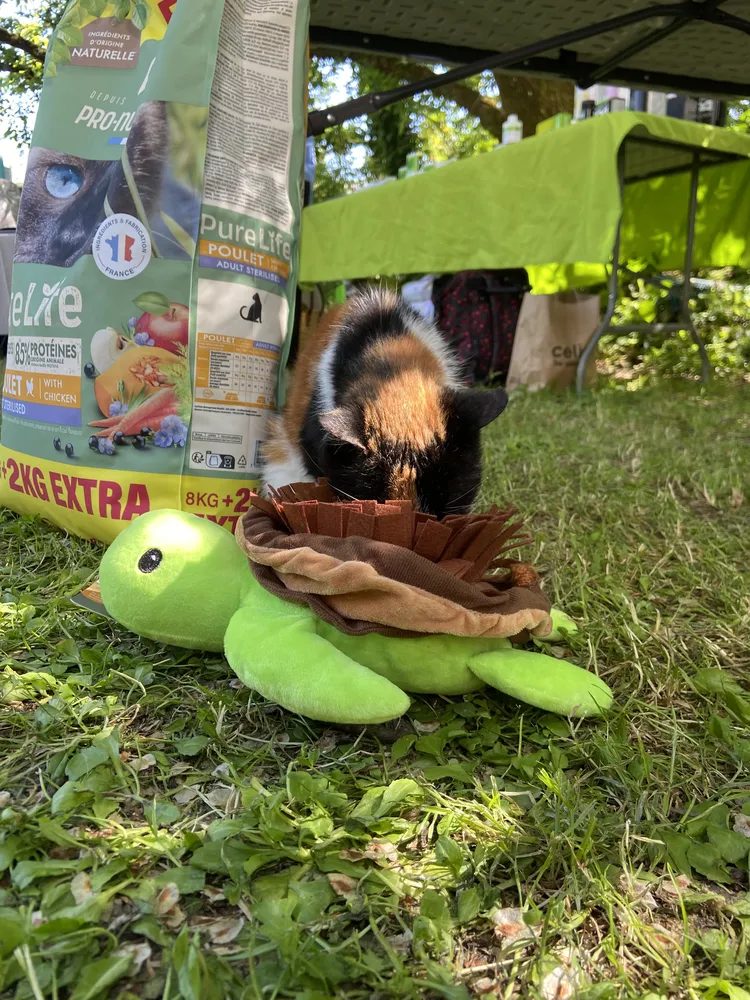 livraison de croquettes et accessoires d'enrichissement pour chat en loire-atlantique