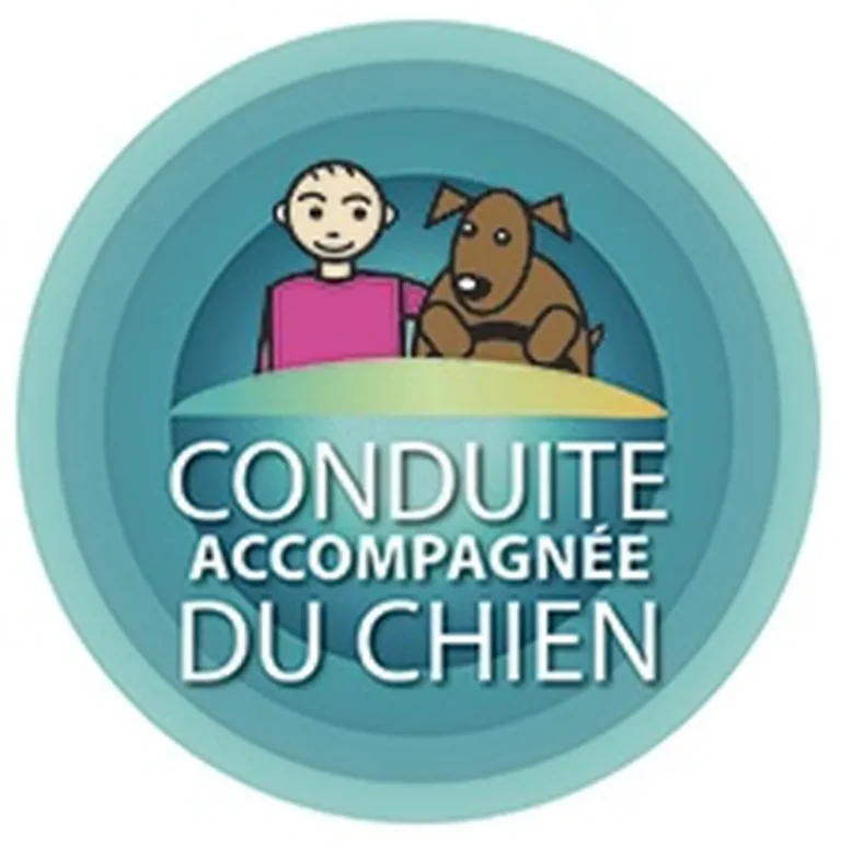 Formation conduite accompagnée du chien dispensée par une vétérinaire pour un accompagnement éthique du comportement canin