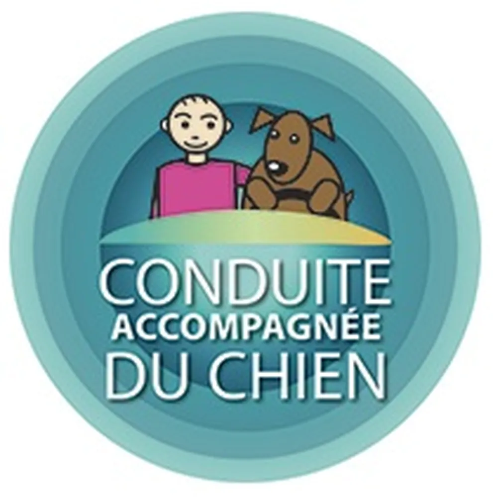 Formation conduite accompagnée du chien dispensée par une vétérinaire pour un accompagnement éthique du comportement canin