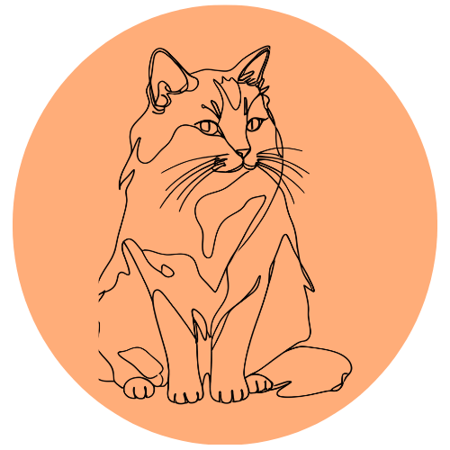 Consultation féline à Donges pour résoudre les problèmes de comportement du chat.