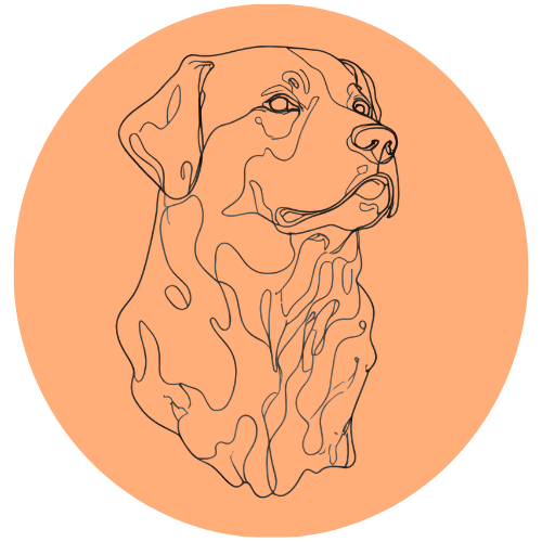 Cours d’éducation canine à Montoir-de-bretagne et savenay en milieu réel.