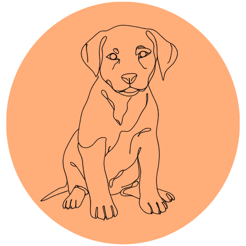 Forfait chiot à La Baule, bilan et séances éducatives.